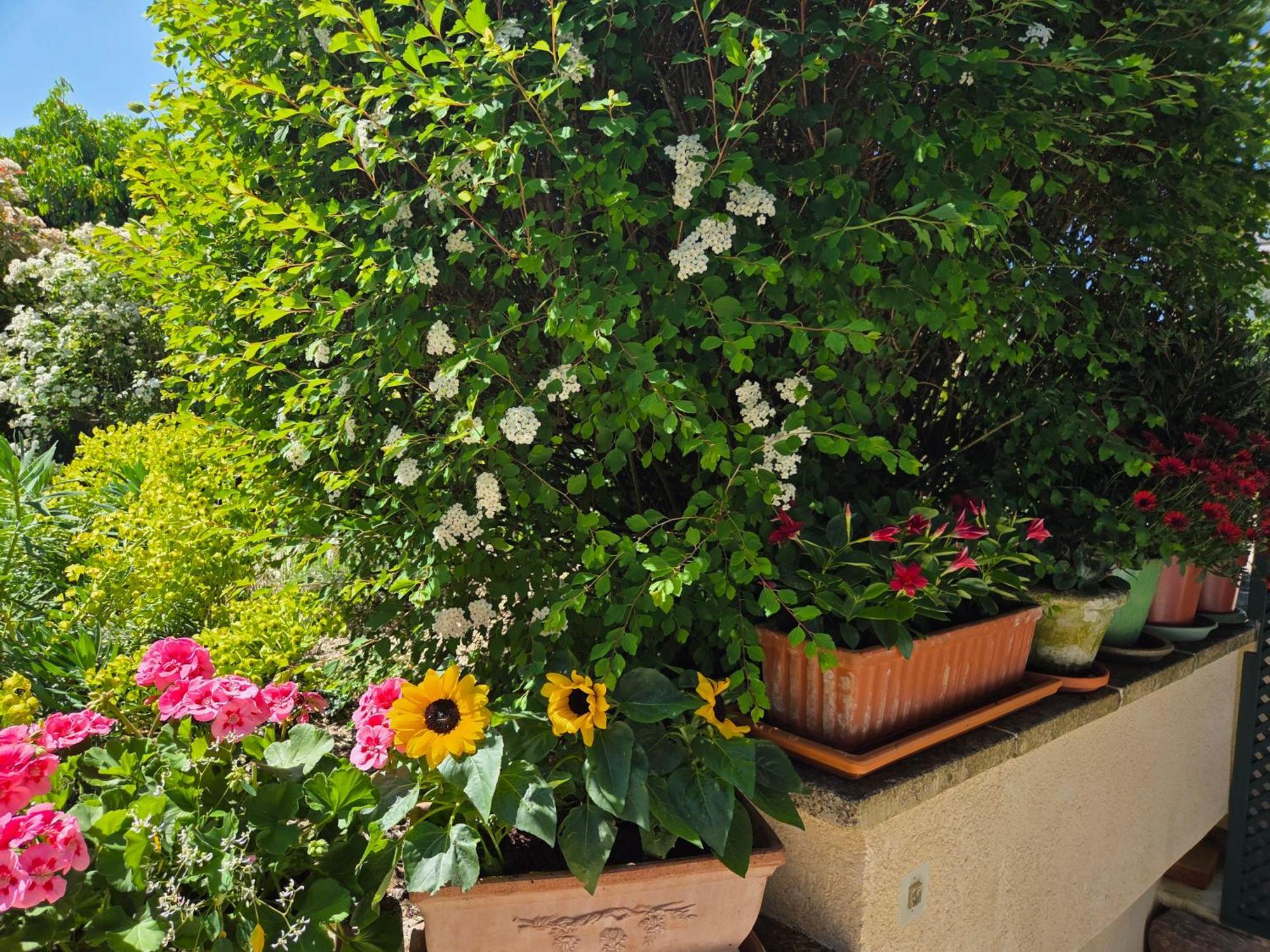 Clair Logis Villa Giverny Kültér fotó
